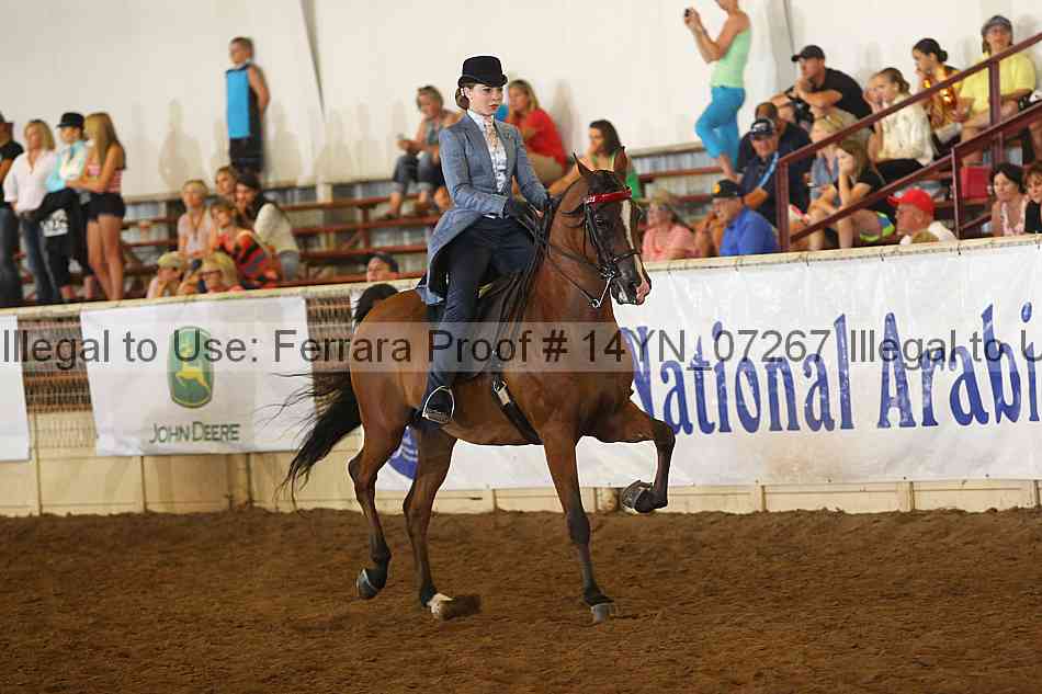 Proof 14yn_07267