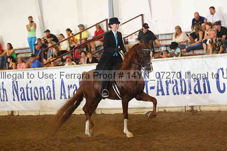 Proof 14yn_07270