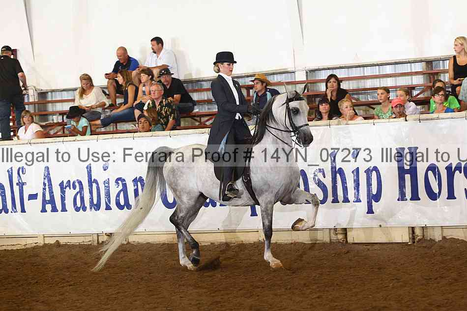 Proof 14yn_07273