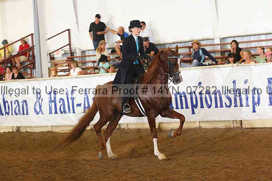 Proof 14yn_07282