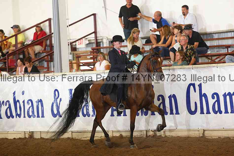 Proof 14yn_07283