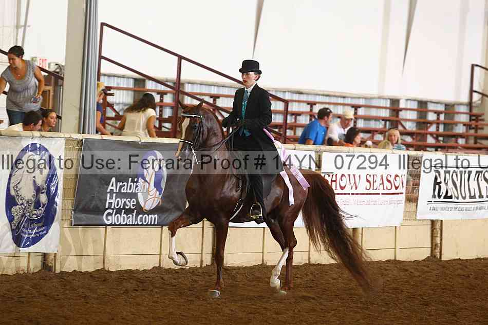 Proof 14yn_07294