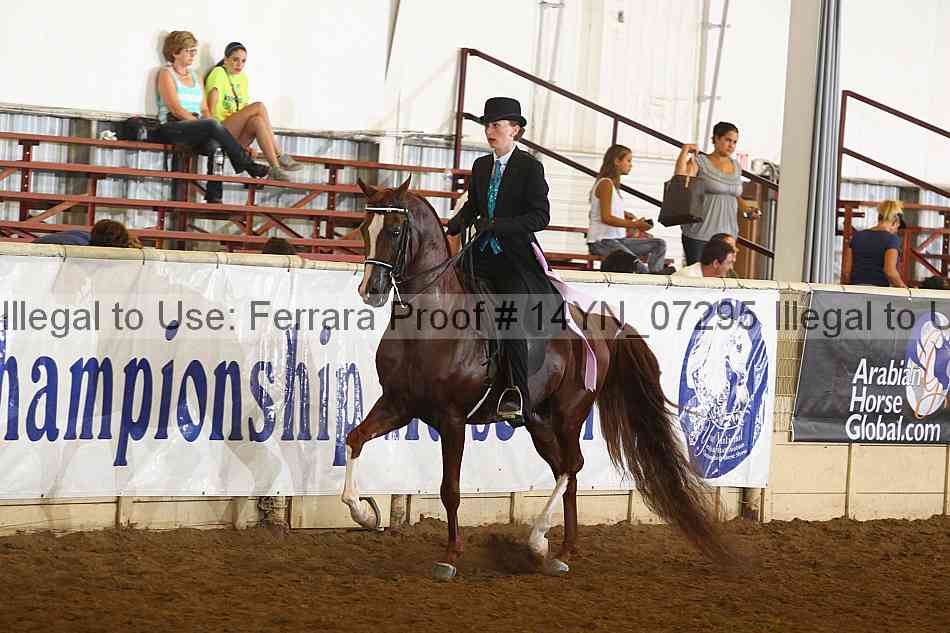 Proof 14yn_07295
