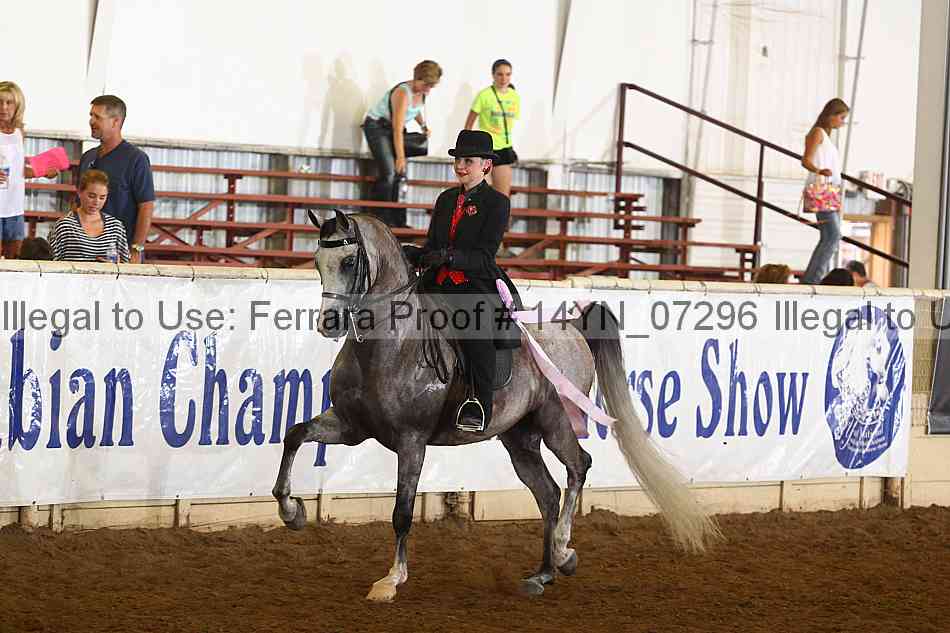 Proof 14yn_07296