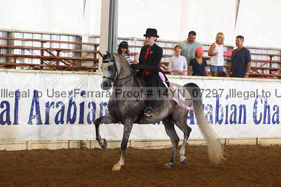 Proof 14yn_07297