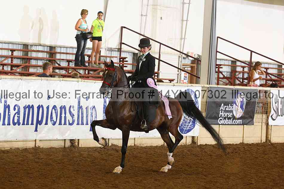 Proof 14yn_07302