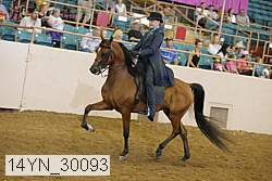 14yn_30093 proof