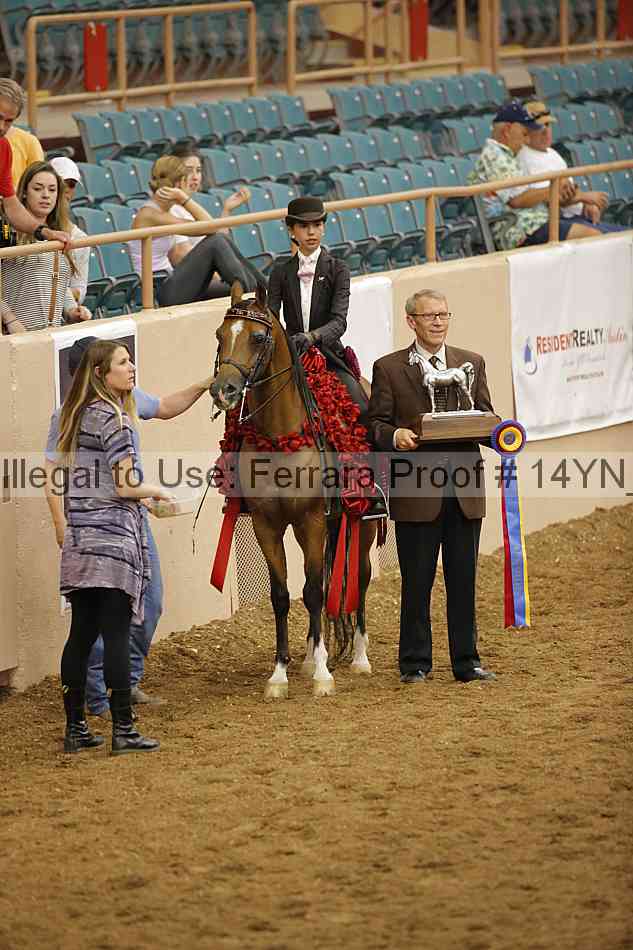 Proof 14yn_30160
