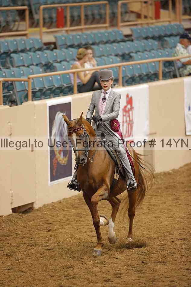 Proof 14yn_30169