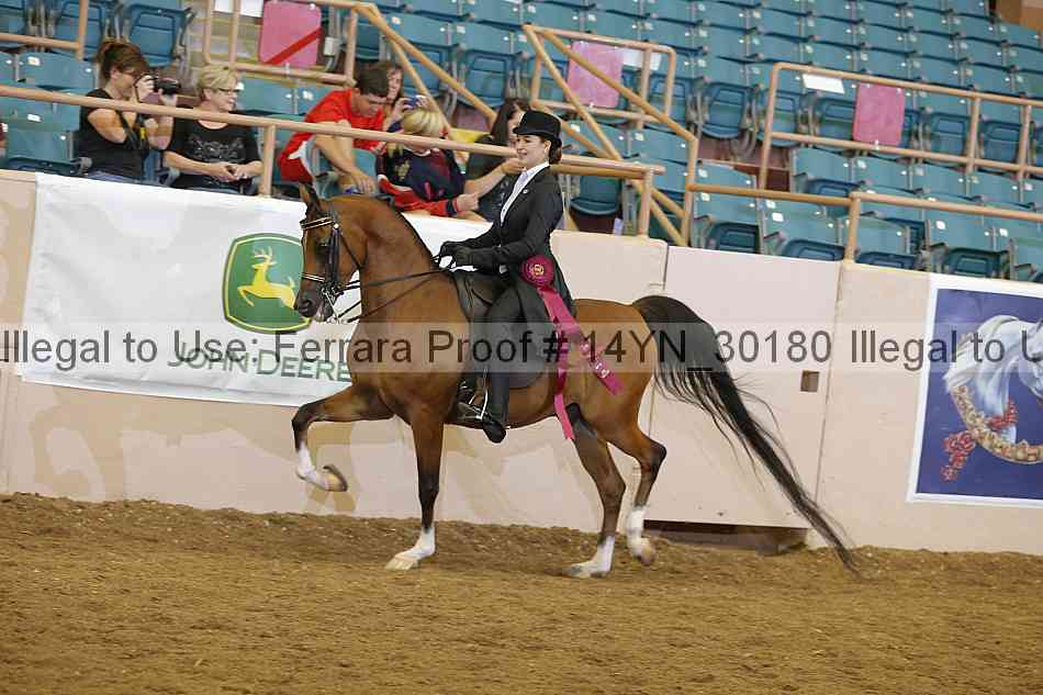 Proof 14yn_30180