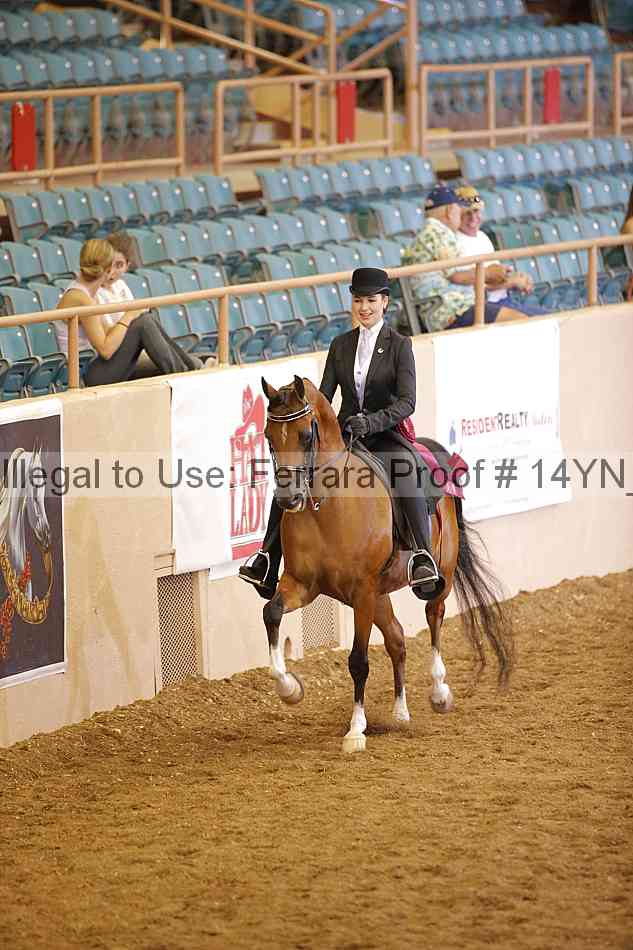 Proof 14yn_30182