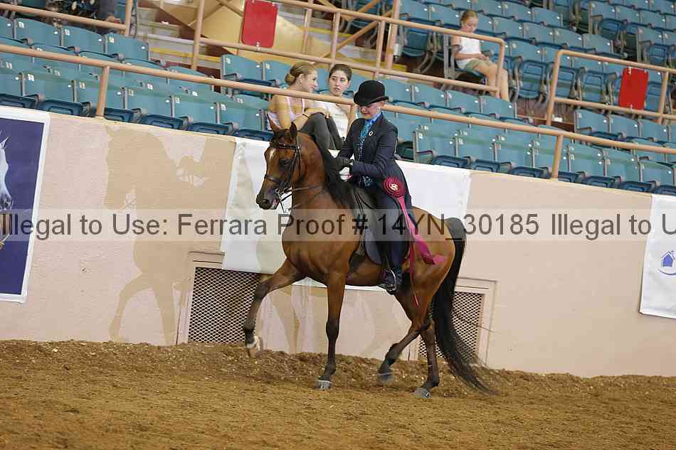 Proof 14yn_30185