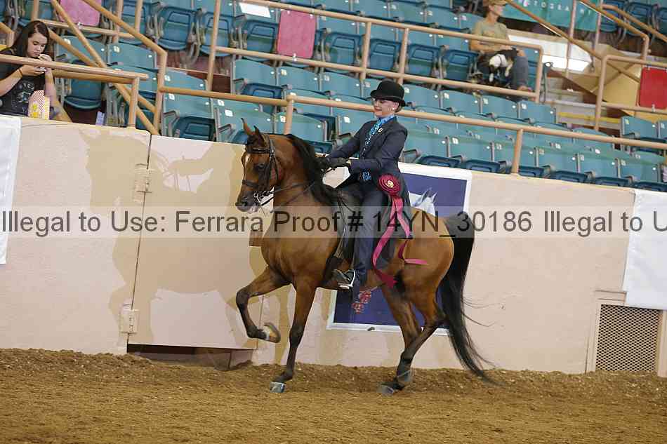 Proof 14yn_30186