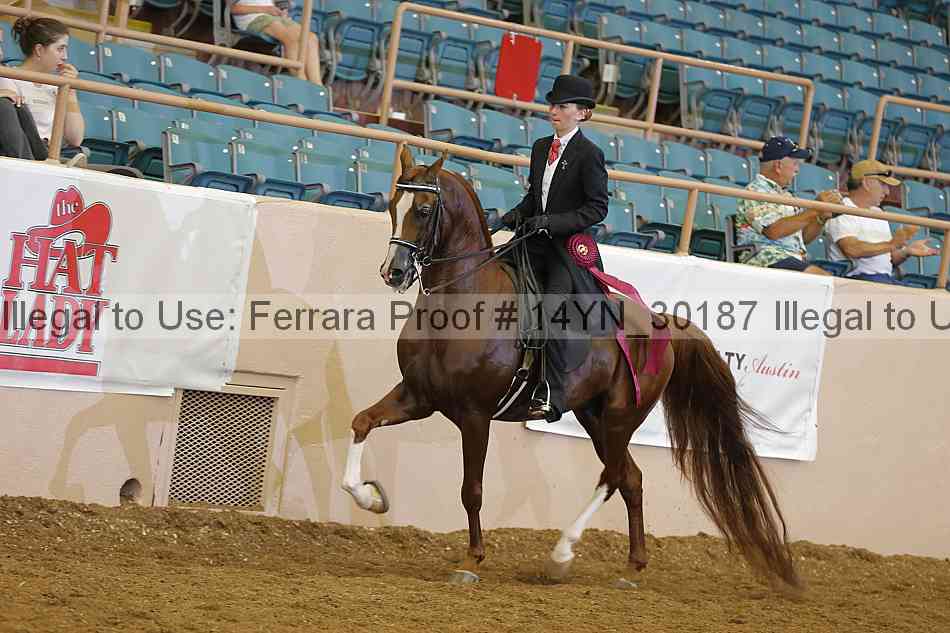 Proof 14yn_30187