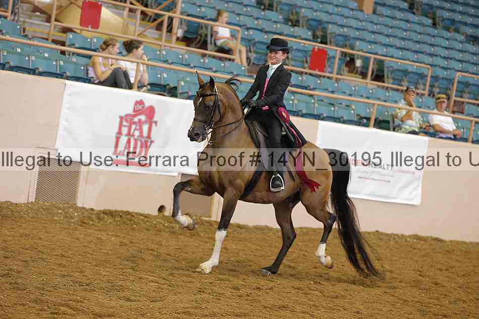 Proof 14yn_30195
