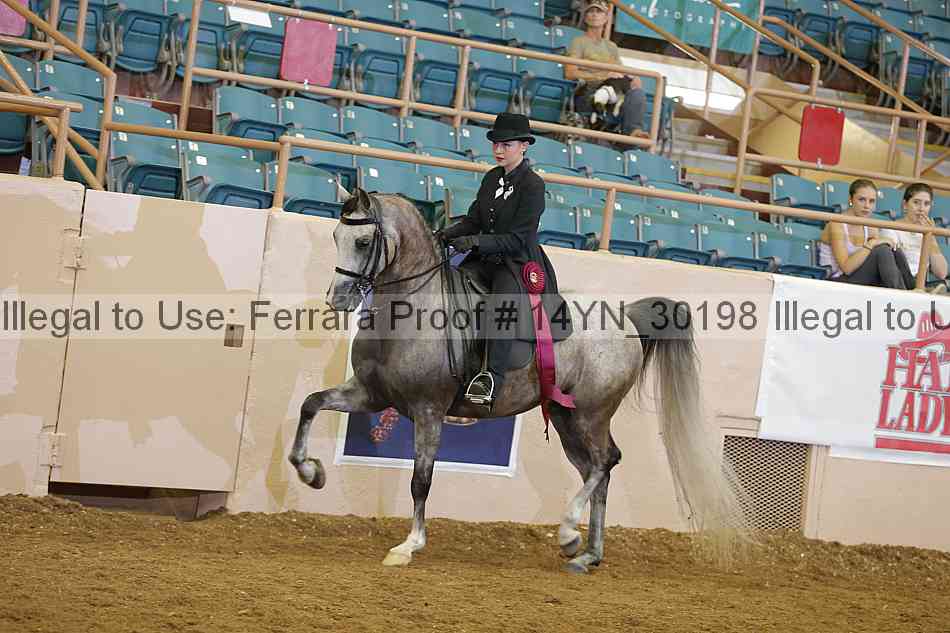 Proof 14yn_30198