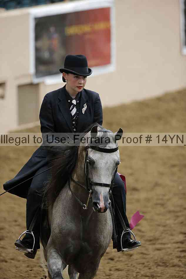 Proof 14yn_30205