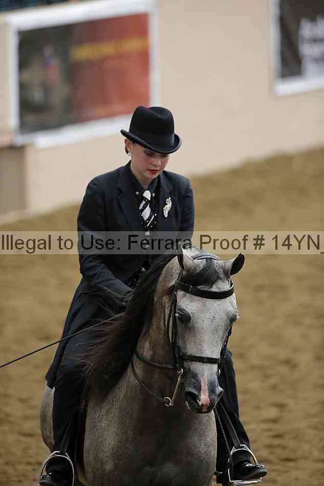 Proof 14yn_30206