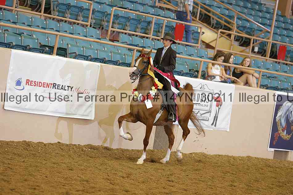 Proof 14yn_30211