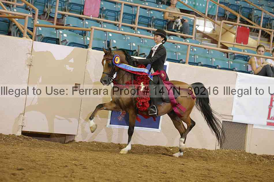 Proof 14yn_30216