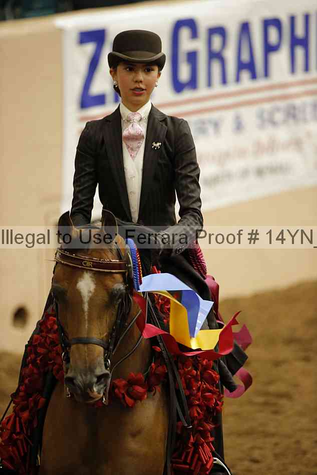 Proof 14yn_30227