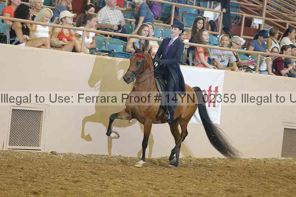 Proof 14yn_02359