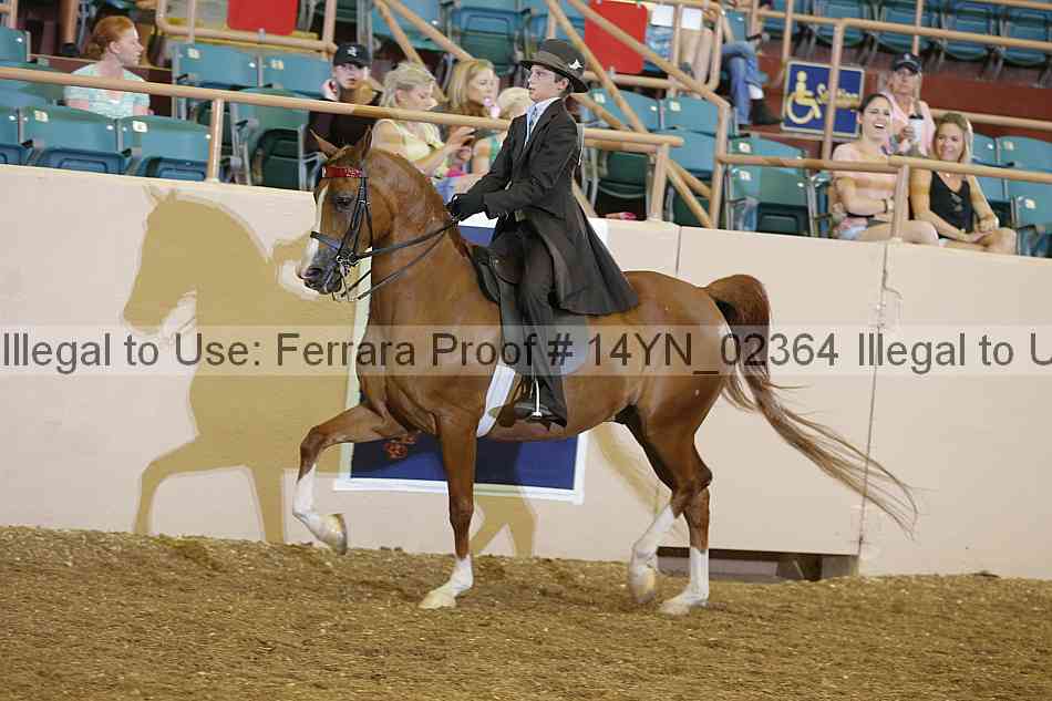 Proof 14yn_02364
