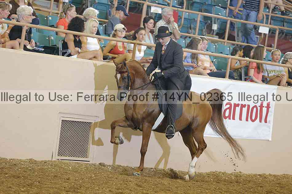 Proof 14yn_02365
