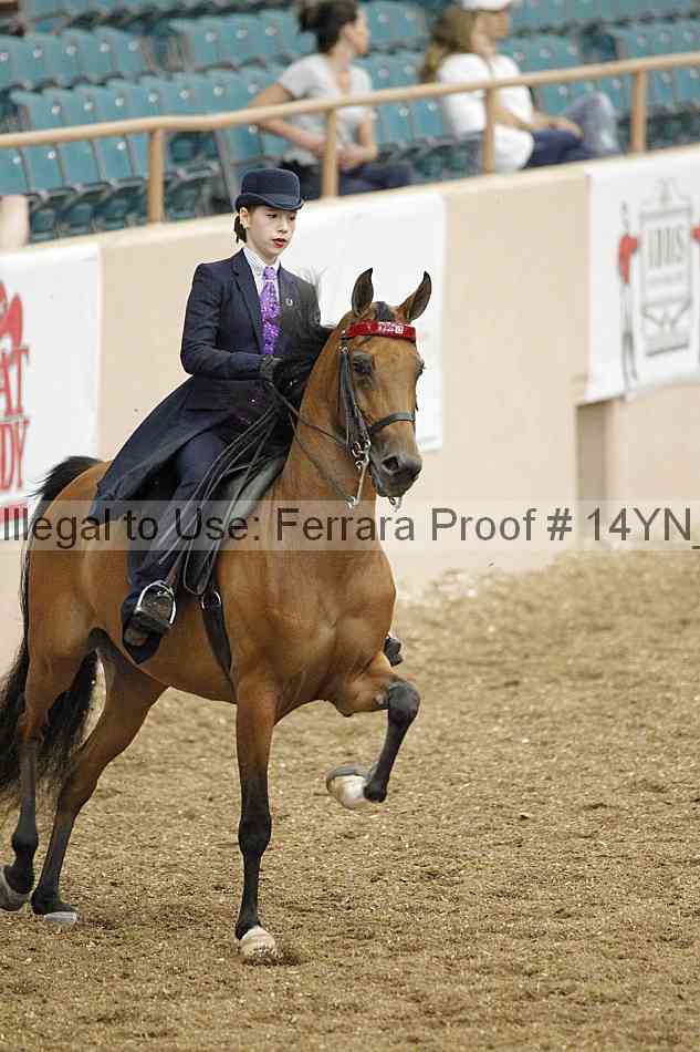 Proof 14yn_02366