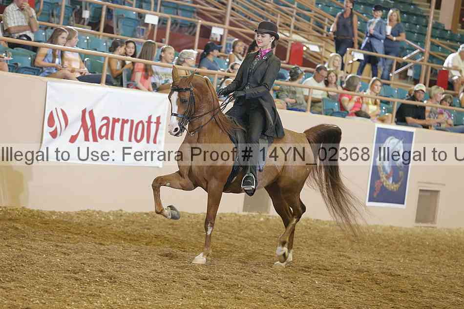 Proof 14yn_02368