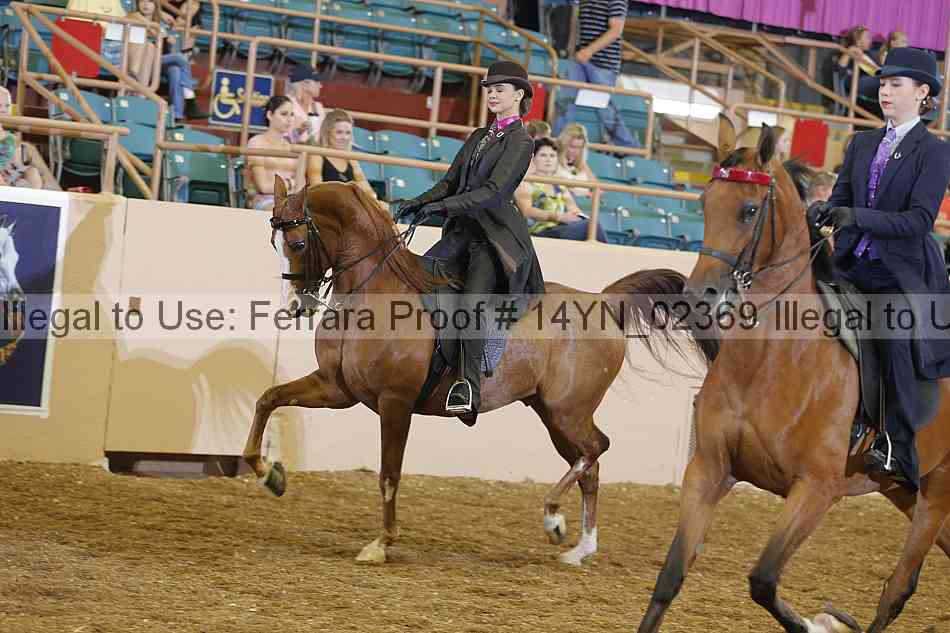 Proof 14yn_02369