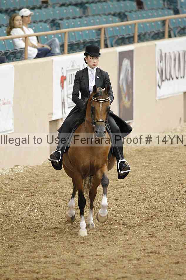 Proof 14yn_02370