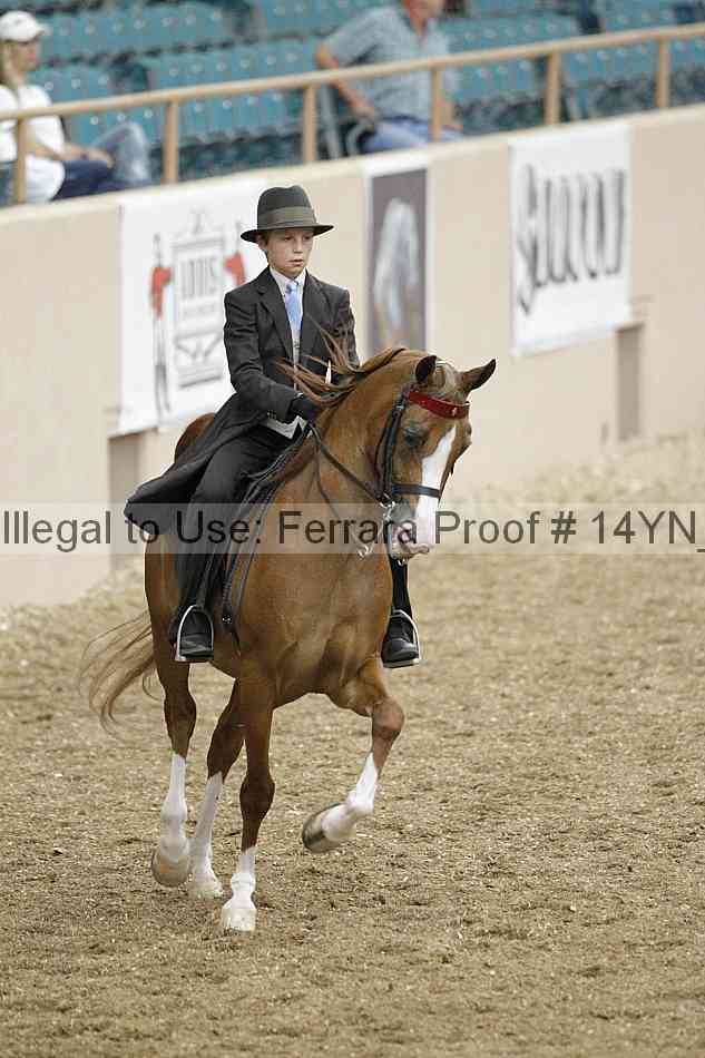 Proof 14yn_02375