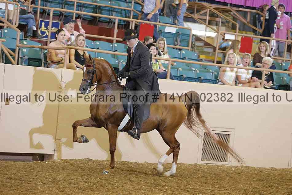 Proof 14yn_02382