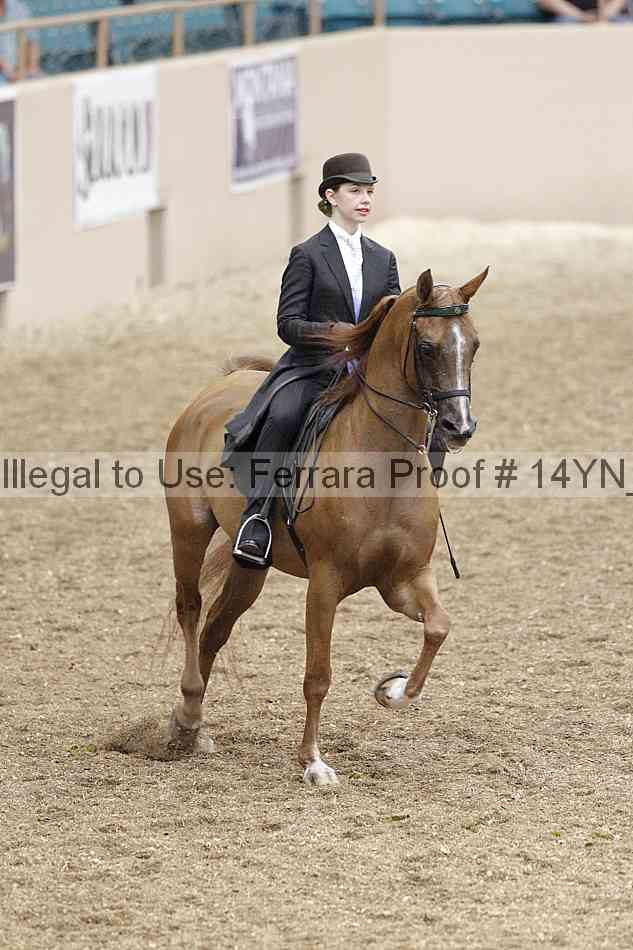 Proof 14yn_02383