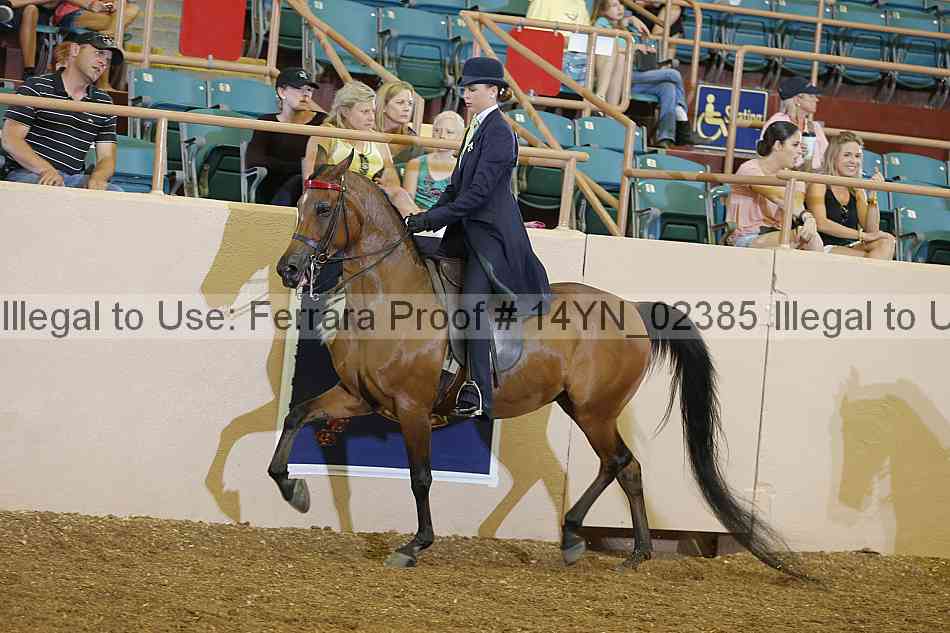 Proof 14yn_02385