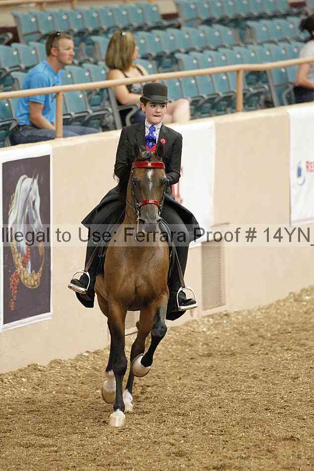 Proof 14yn_02388