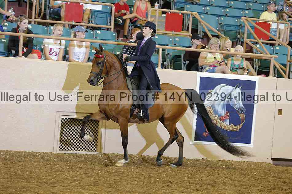 Proof 14yn_02394