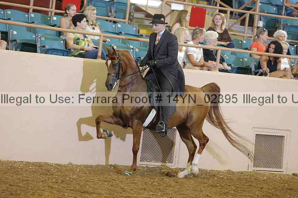 Proof 14yn_02395