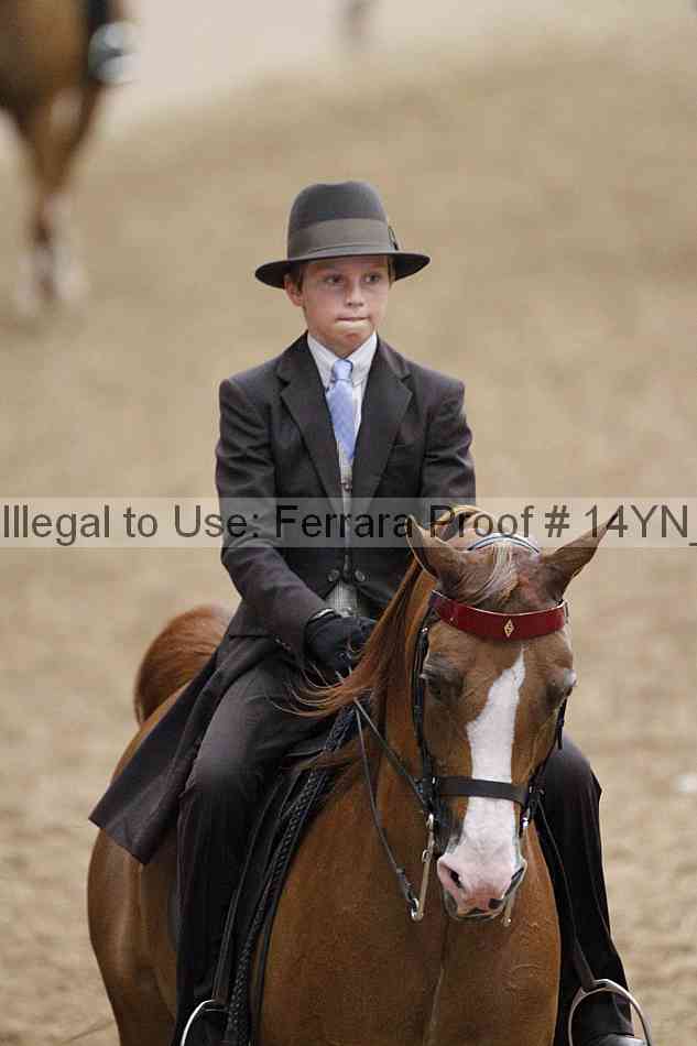 Proof 14yn_02396