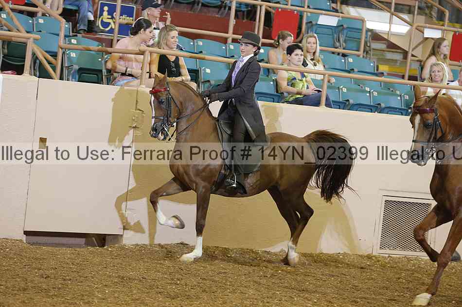 Proof 14yn_02399