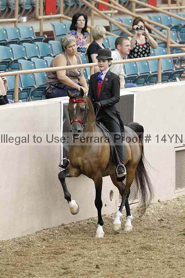 Proof 14yn_02401