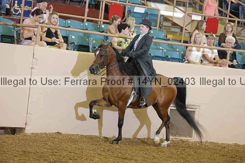 Proof 14yn_02403