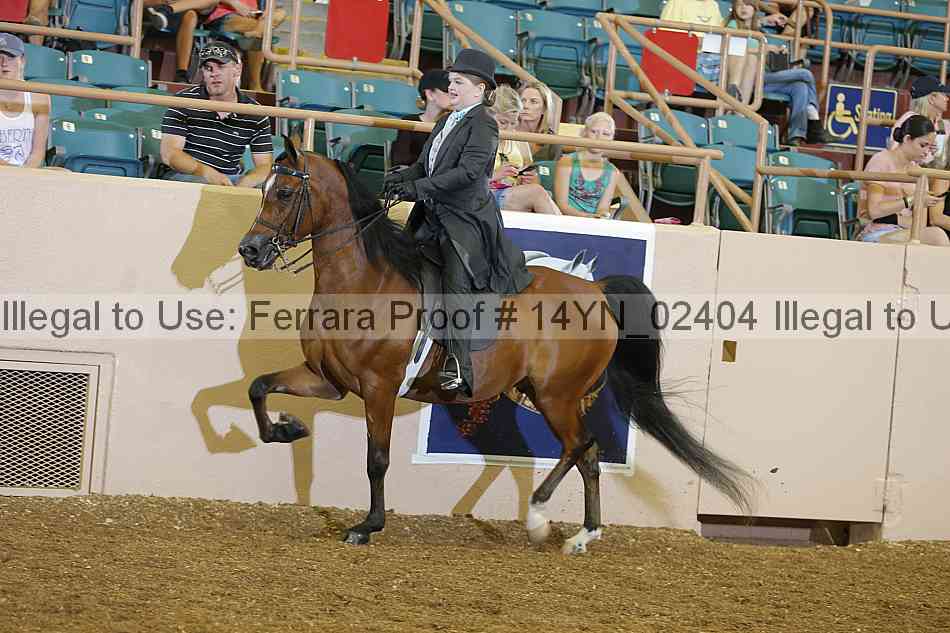 Proof 14yn_02404