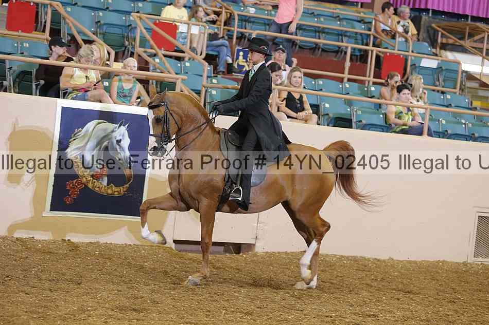 Proof 14yn_02405