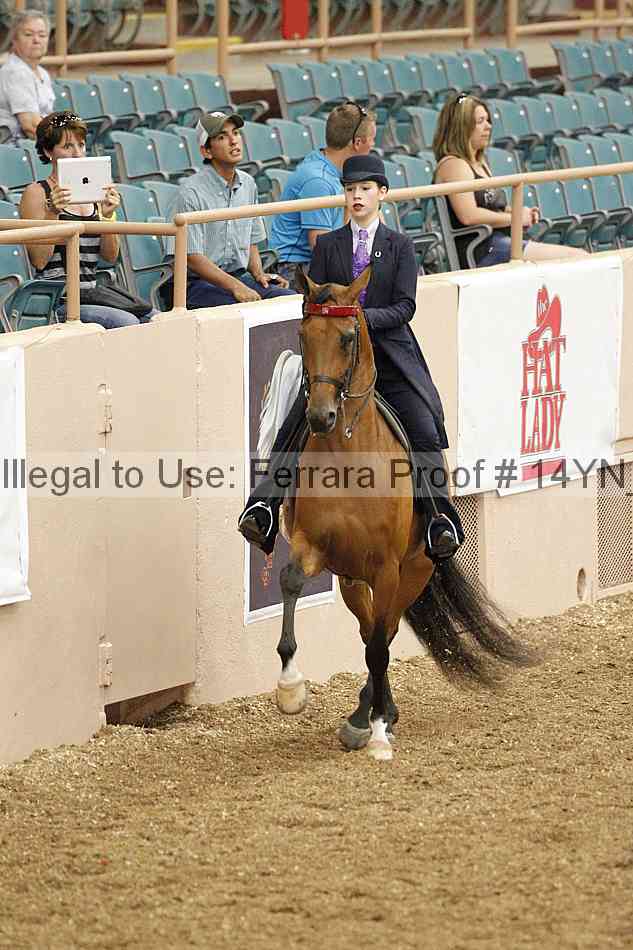 Proof 14yn_02406