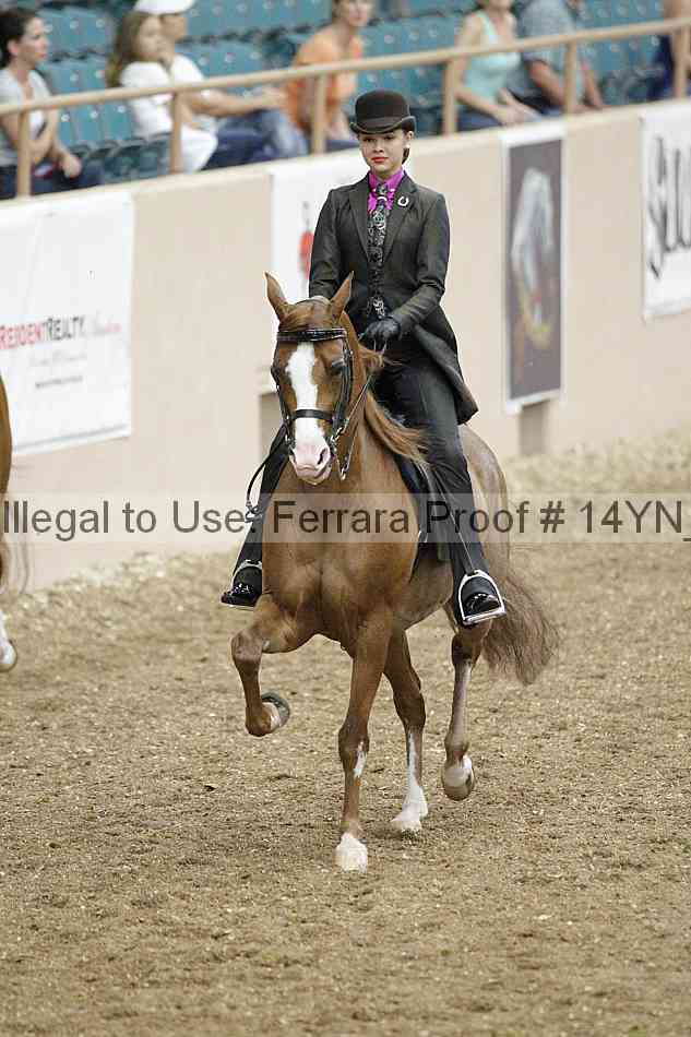 Proof 14yn_02408
