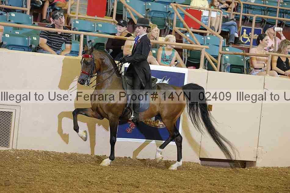Proof 14yn_02409