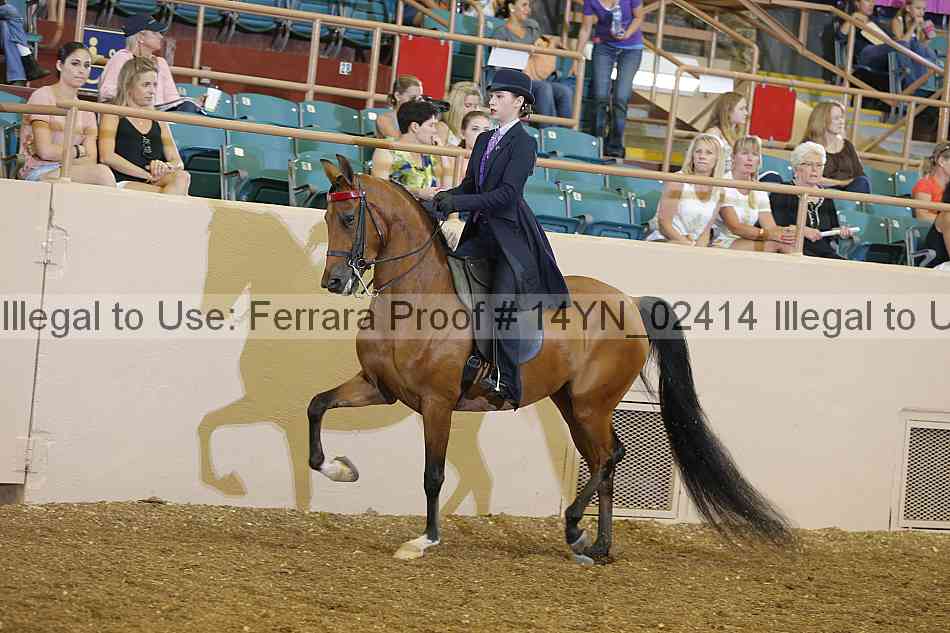 Proof 14yn_02414