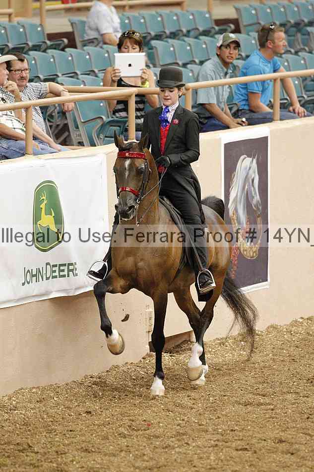 Proof 14yn_02418